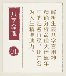海口哪里起名比较靠谱-起名流程一